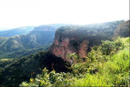 Paisageme flora da Chapada dos Guimaraes - Foto Ademir Santos (Licen