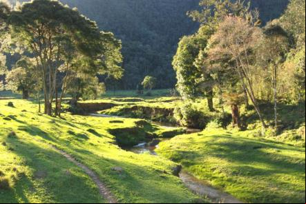 Parque Nacional da Serra do Itaja