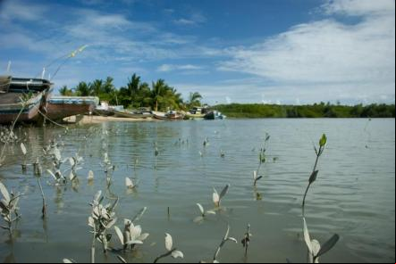 Rio Corumbau - Foto: Jo