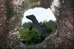 Sitio Arqueologico do Amap