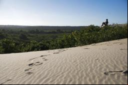 Parque Estadual de Itaunas - Foto: Pal