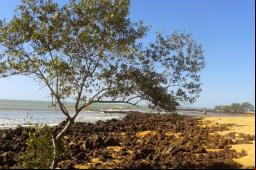 Praia de Manguinhos - Foto: Deivson Santana