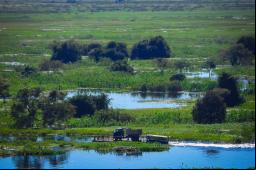 Pantanal Corumb