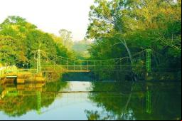 Ponte estaiada Arnaldo Sim