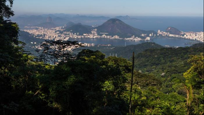 Parque Nacional da Tijuca - Rio de Janeiro - Cr